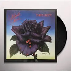 Black Rose: A Rock Legend