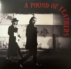 A Pound of Feathers - The Black Crowes